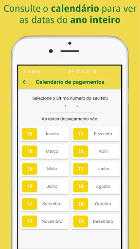 Скриншот 5 — Consulta Benefício e Pagamento