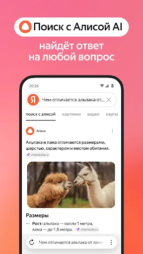 Скриншот 3 — Яндекс Браузер (бета)