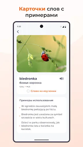 Скриншот 4 — Учить польский. 65000 слов