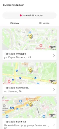 Скриншот 2 — TopStudio