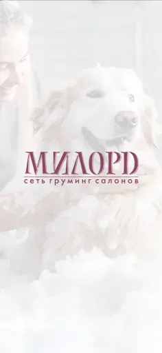 Скриншот 1 — МИЛОРД сеть груминг-салонов
