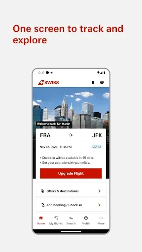 Скриншот 2 — SWISS