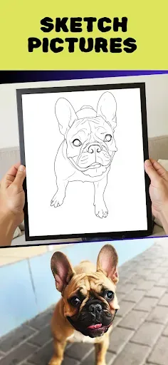 Скриншот 2 — Colorify: Coloring Book Maker