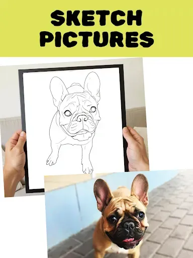 Скриншот 7 — Colorify: Coloring Book Maker