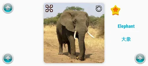 Скриншот 3 — Kiddie Flashcards
