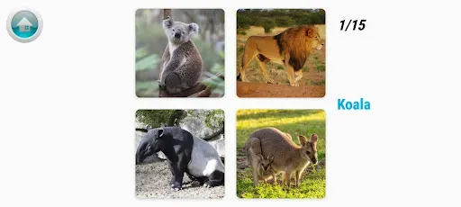 Скриншот 5 — Kiddie Flashcards