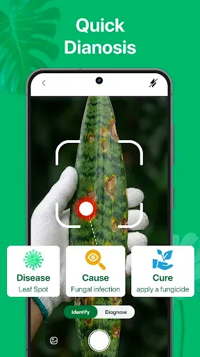Скриншот 2 — PicturePlant: Identifier, Care