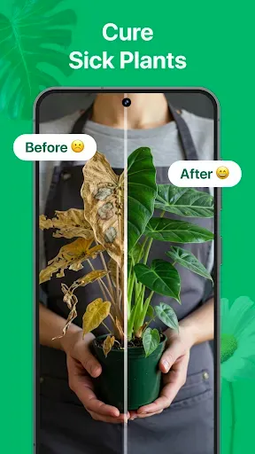 Скриншот 4 — PicturePlant: Identifier, Care
