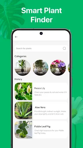 Скриншот 5 — PicturePlant: Identifier, Care