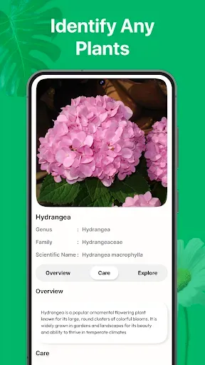 Скриншот 6 — PicturePlant: Identifier, Care