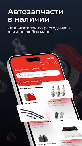Скриншот 3 — Автозапчасти в наличии