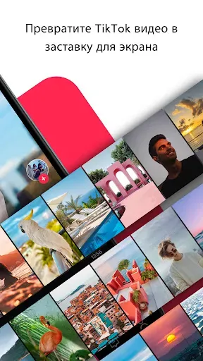 Скриншот 2 — TickTock-TikTok Live Wallpaper