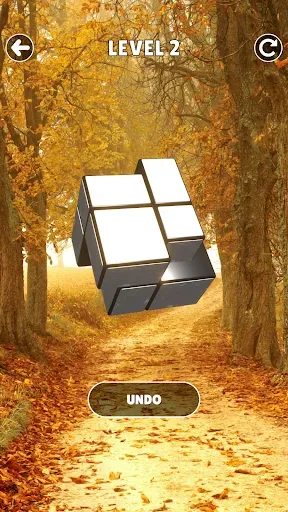 Скриншот 2 — Magic Cube Puzzle