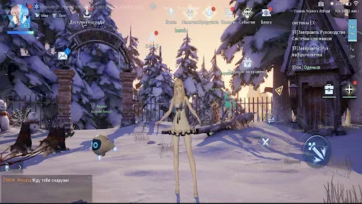 Скриншот 8 — Dragon Raja: Аниме MMORPG