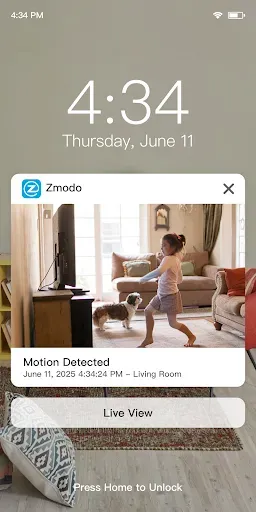 Скриншот 8 — Zmodo