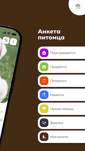 Скриншот 3 — ЗооКлик: соцсеть и объявления