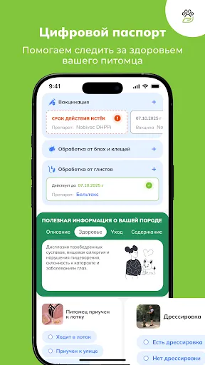 Скриншот 4 — ЗооКлик: соцсеть и объявления