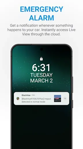 Скриншот 7 — BlackVue