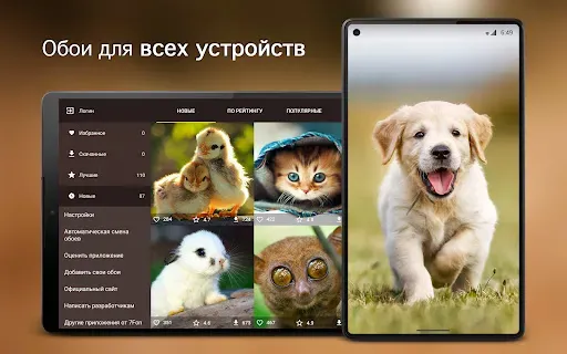 Скриншот 6 — Обои с милыми животными 4K
