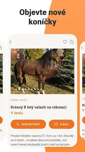 Скриншот 1 — Bazoš: online bazar