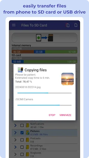 Скриншот 6 — Перенос файлов на SD и USB