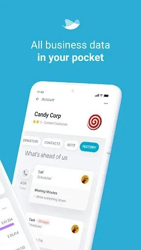 Скриншот 2 — RAYNET CRM