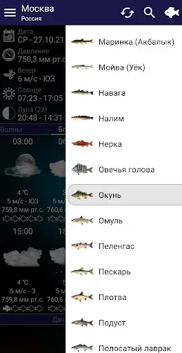 Скриншот 2 — Прогноз клева