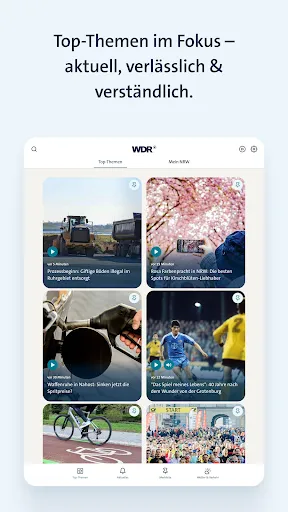 Скриншот 8 — WDR