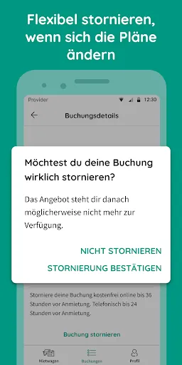 Скриншот 8 — billiger-mietwagen.de