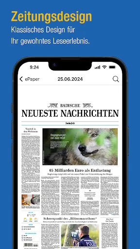Скриншот 4 — BNN ePaper