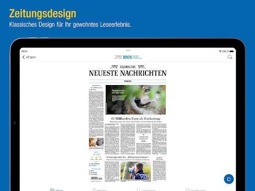 Скриншот 8 — BNN ePaper