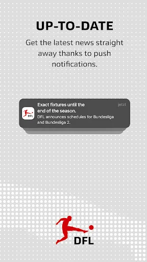 Скриншот 3 — DFL App