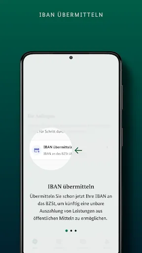 Скриншот 4 — BZSt IBAN+