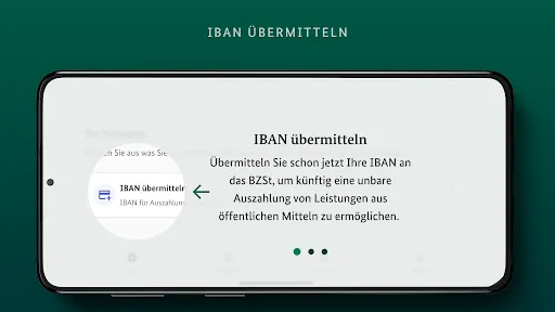 Скриншот 8 — BZSt IBAN+