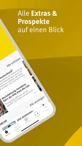 Скриншот 2 — Braunschweiger Zeitung E-Paper