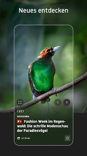 Скриншот 6 — stern online: Nachrichten App