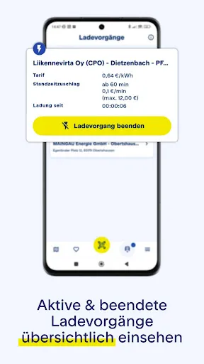 Скриншот 6 — MAINGAU Autostrom