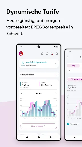 Скриншот 1 — enercity