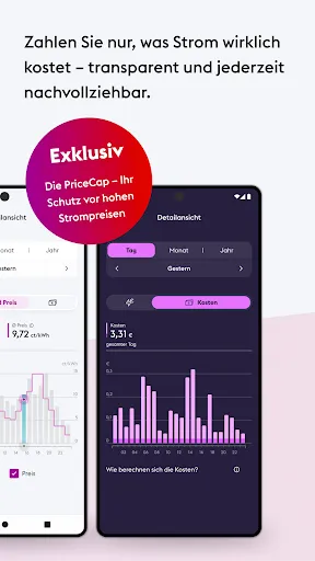 Скриншот 2 — enercity