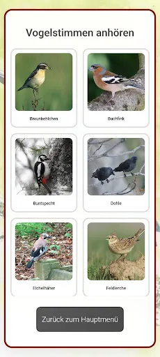 Скриншот 3 — Vogel Quiz