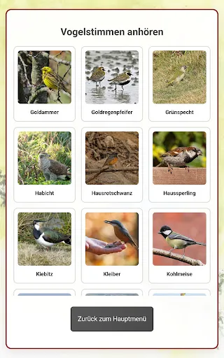 Скриншот 8 — Vogel Quiz