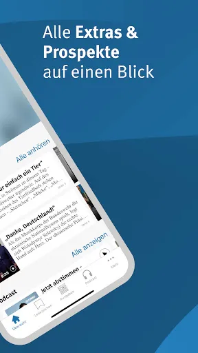 Скриншот 2 — WP E-Paper