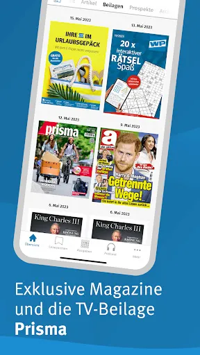 Скриншот 7 — WP E-Paper