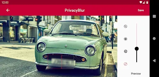 Скриншот 7 — PrivacyBlur