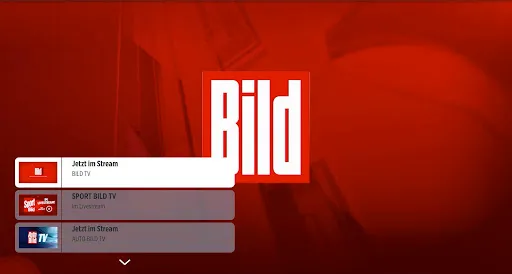 Скриншот 6 — BILDplay