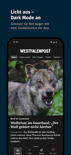 Скриншот 4 — WP News