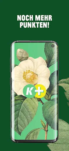 Скриншот 1 — Kremer Plus