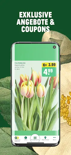 Скриншот 2 — Kremer Plus