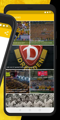 Скриншот 4 — SG Dynamo Dresden