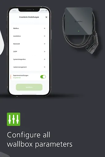 Скриншот 5 — Spelsberg Wallbox
